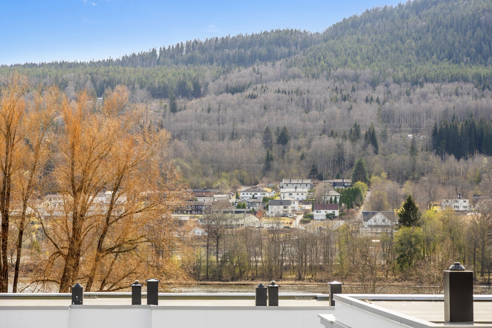 Utsiktsbilde. Galleribilde