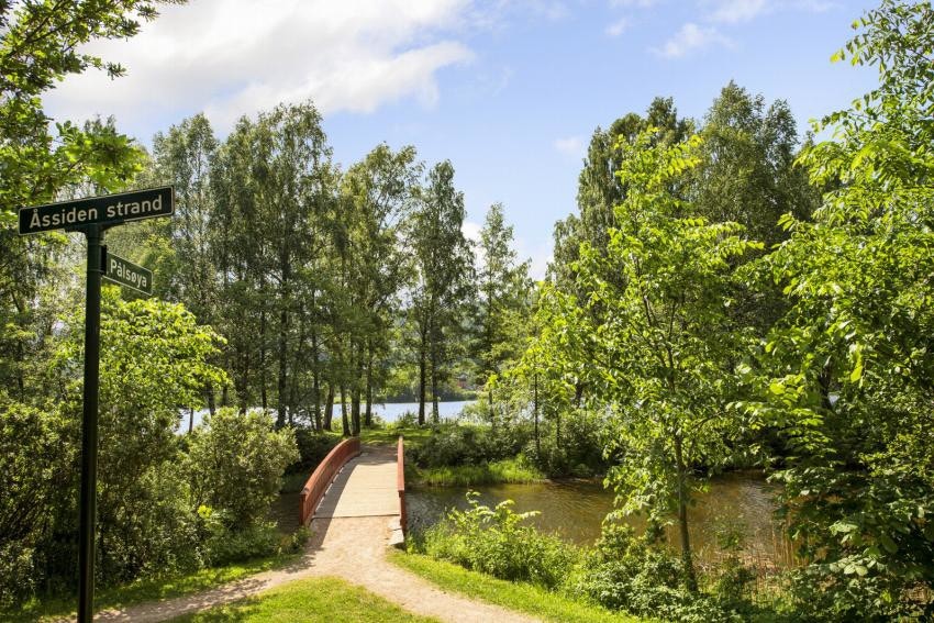 Selve Pålsøya har små badestrender og sittegrupper Galleribilde
