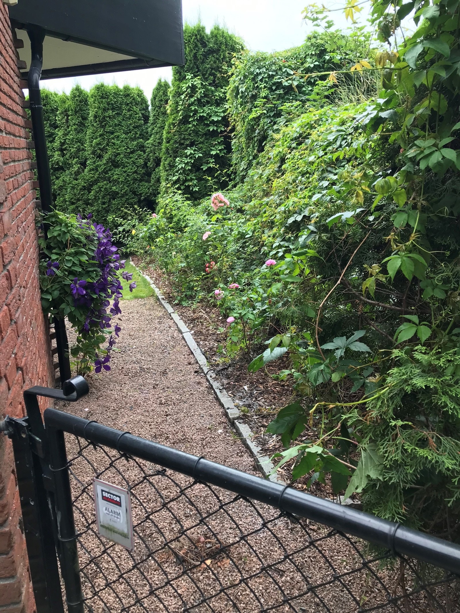 Fra hagen er det enkel adkomst til hovedinngangen via port. Galleribilde