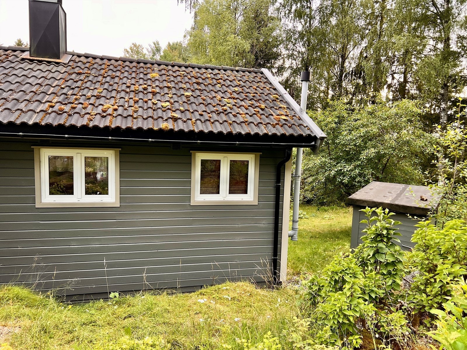 Stor tomt Galleribilde