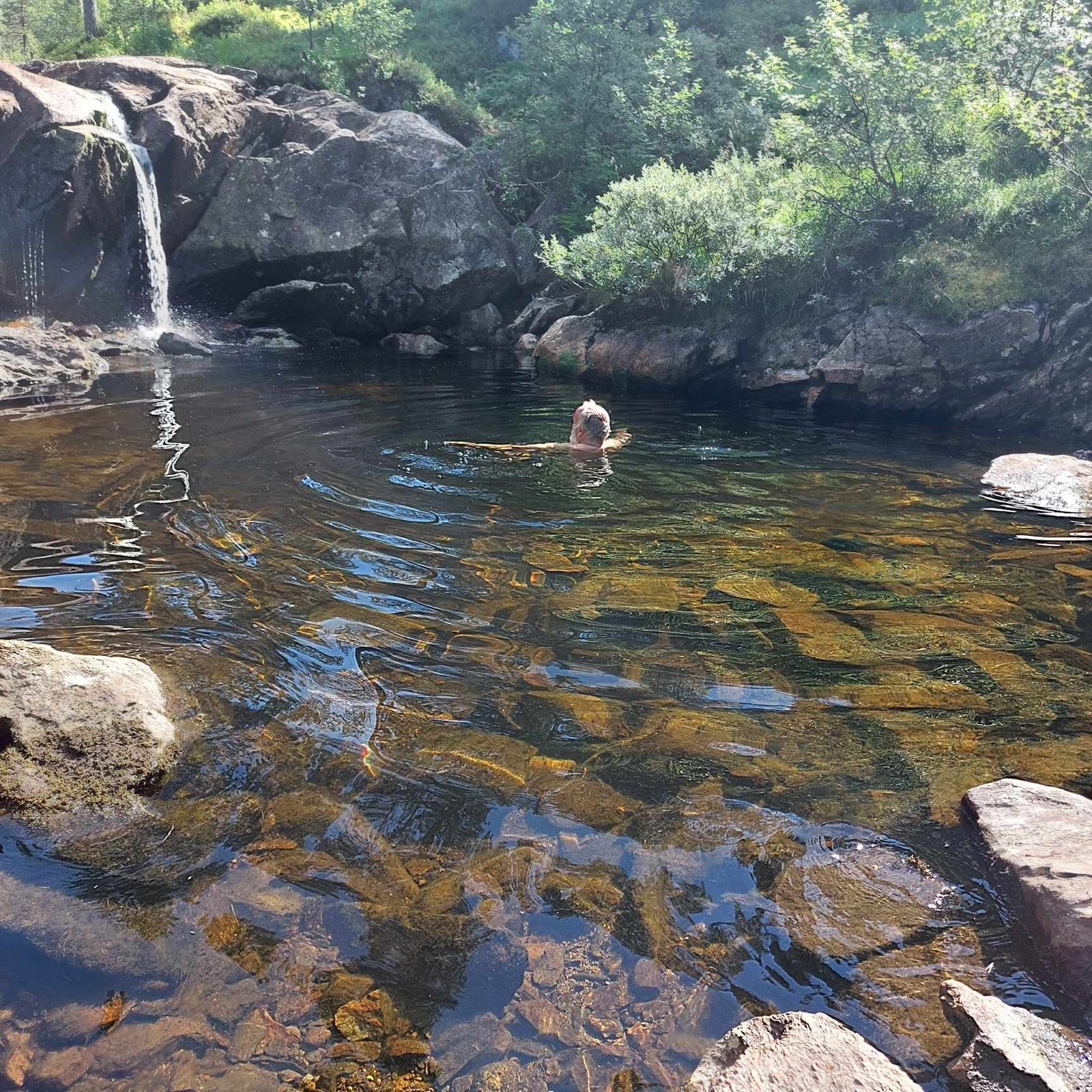 Flotte badekulper like i nærheten av hytten Galleribilde