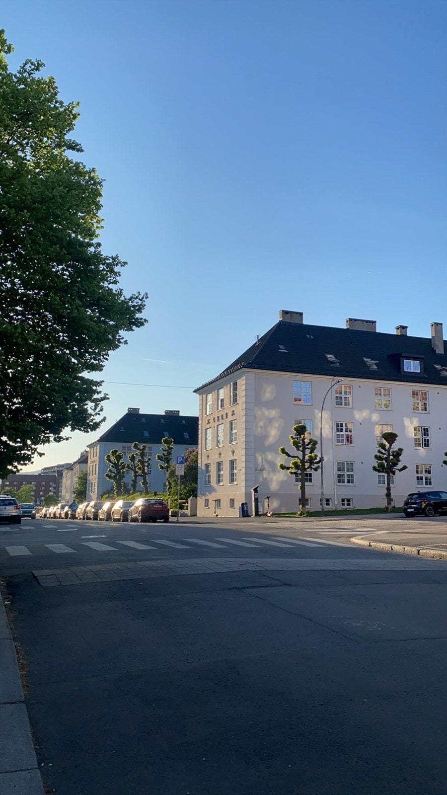 Selgers egne bilder. Galleribilde