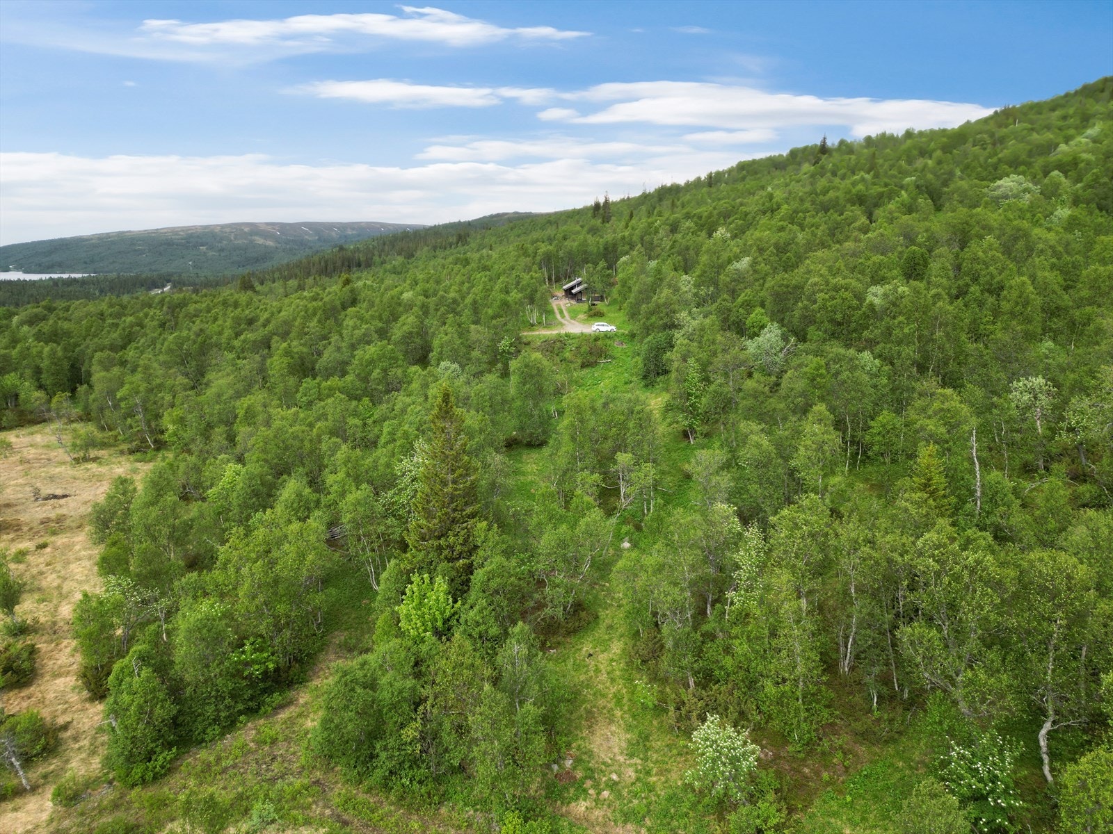 Området er like fint sommer som vinter, og med vinterbrøytet vei kan din fremtidige hytte nytes året rundt Galleribilde