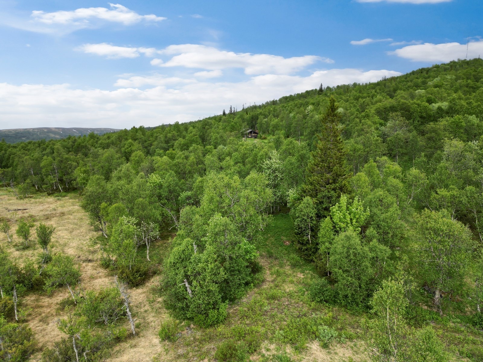En hyttetomt på 1 mål beliggende i naturskjønne omgivelser på nordenden av Stuggusjøen Galleribilde