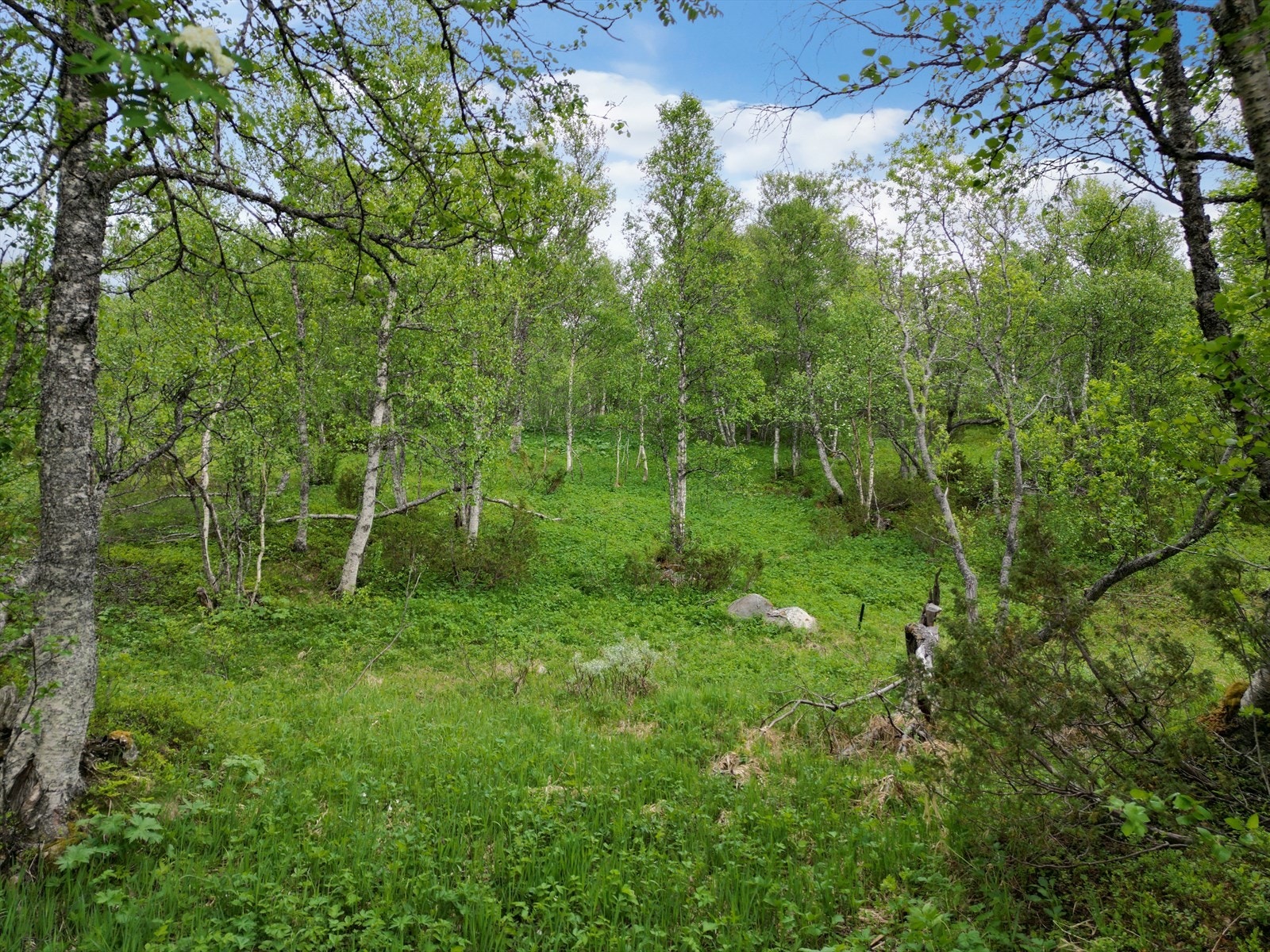 Her har du muligheten til å realisere hyttedrømmen Galleribilde