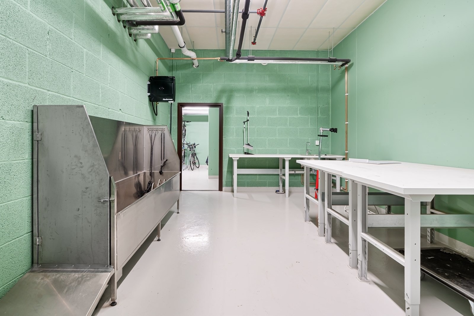 Her kan du vaske både hund og sykkel Galleribilde