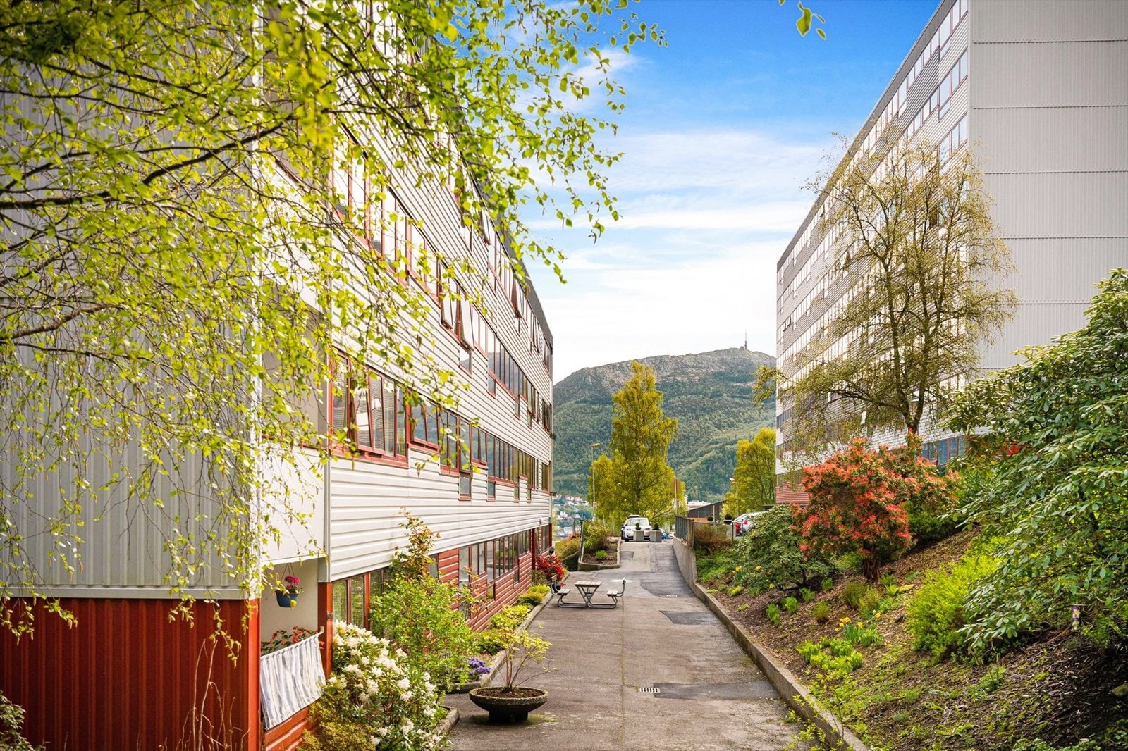 Hyggeelige sosiale soner på fellesområdet. Galleribilde