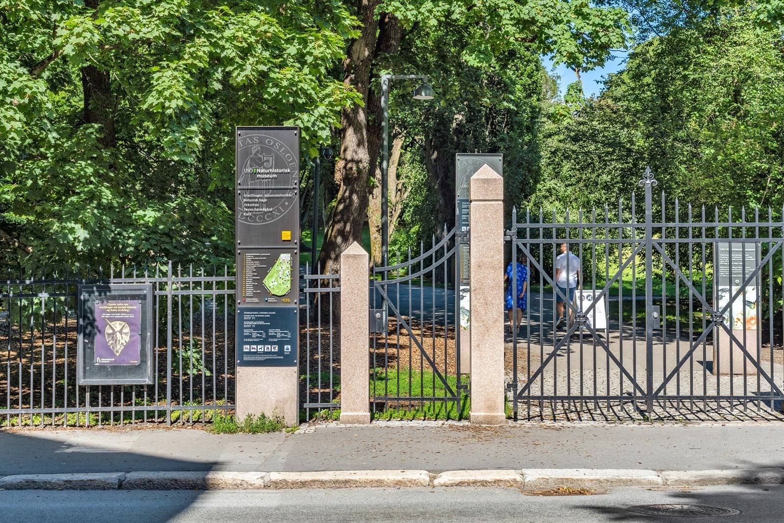 Botanisk hage - et levende museum ikke lange veien fra boligen. Galleribilde