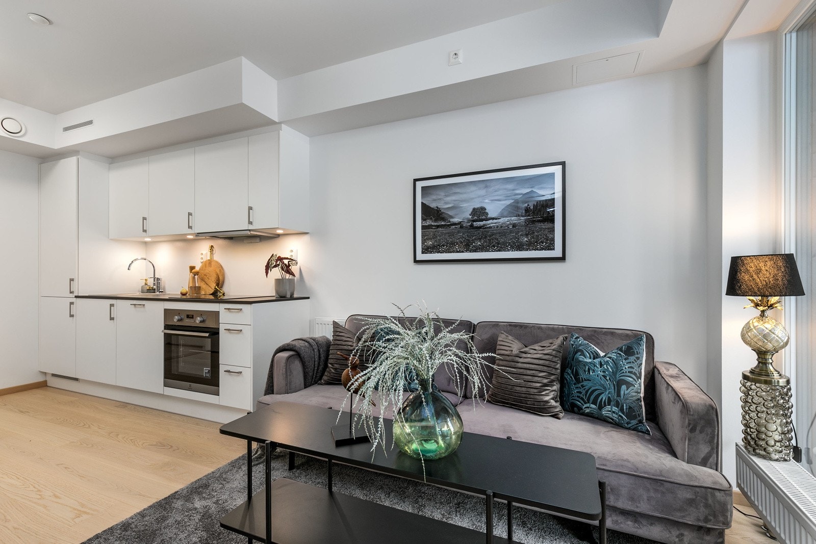 Oppvarming med vannbåren varme via radiatorer og balansert ventilasjon med varmegjenvinning - en meget energieffektiv bolig! Galleribilde