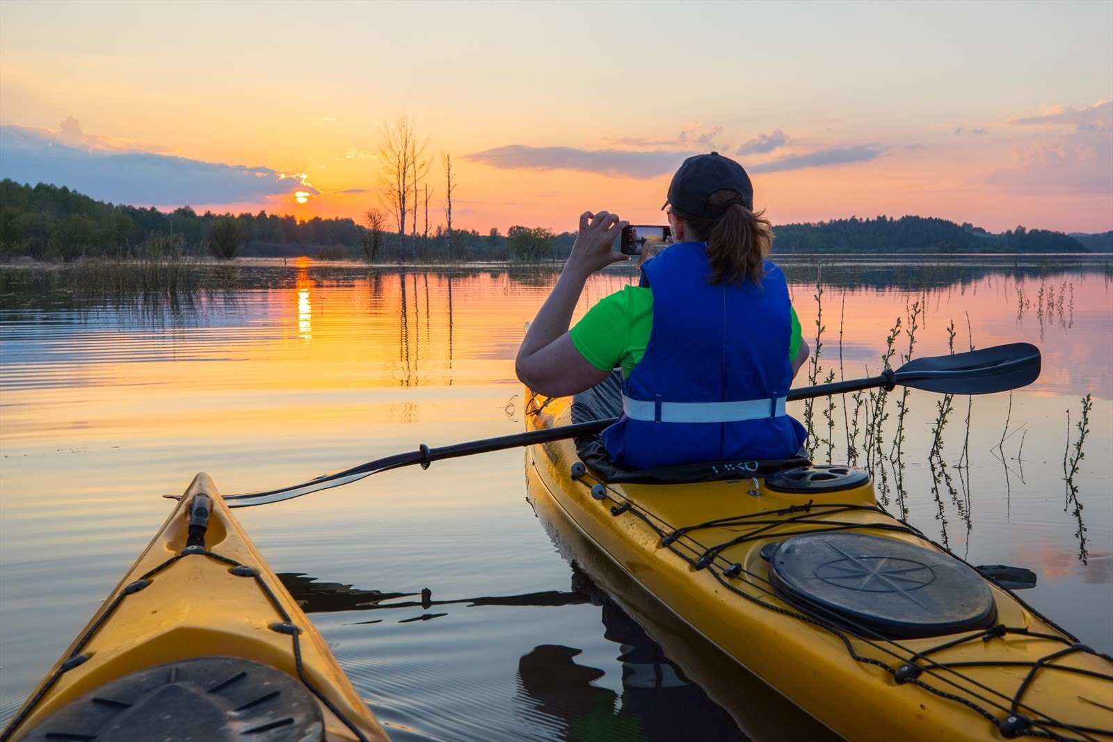 Kajakkpadling på Øyeren. Galleribilde