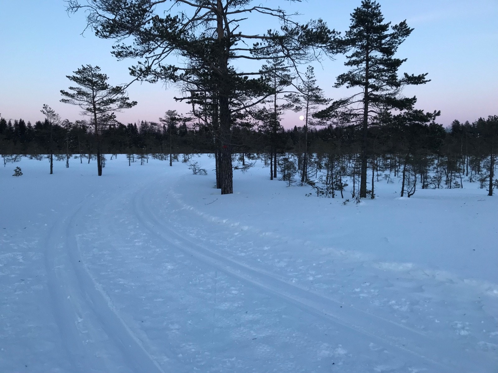 Fra Hebekkmåsan en vinterdag, ca 400 m/ nord for boligen. Galleribilde