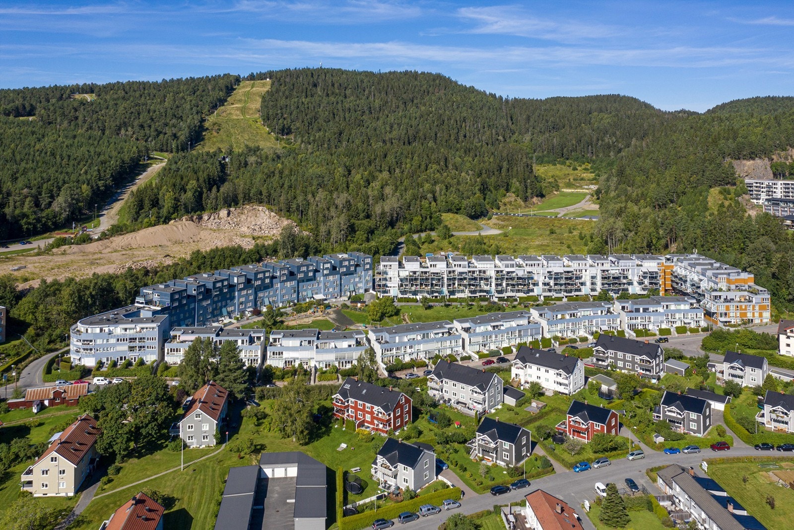 Årvollskogen Galleribilde