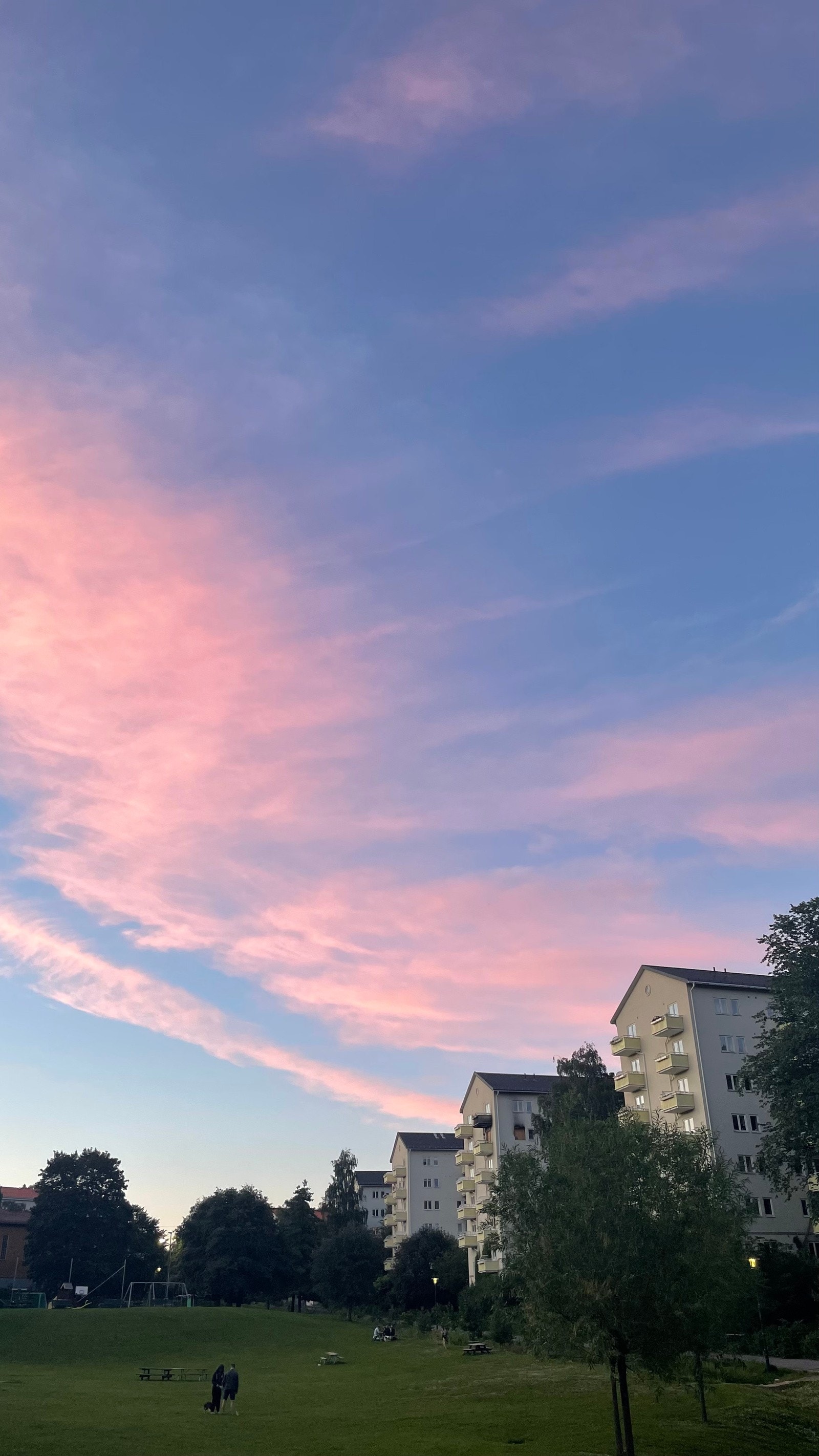 - Ilaparken på sommerstid tatt av selger - Galleribilde