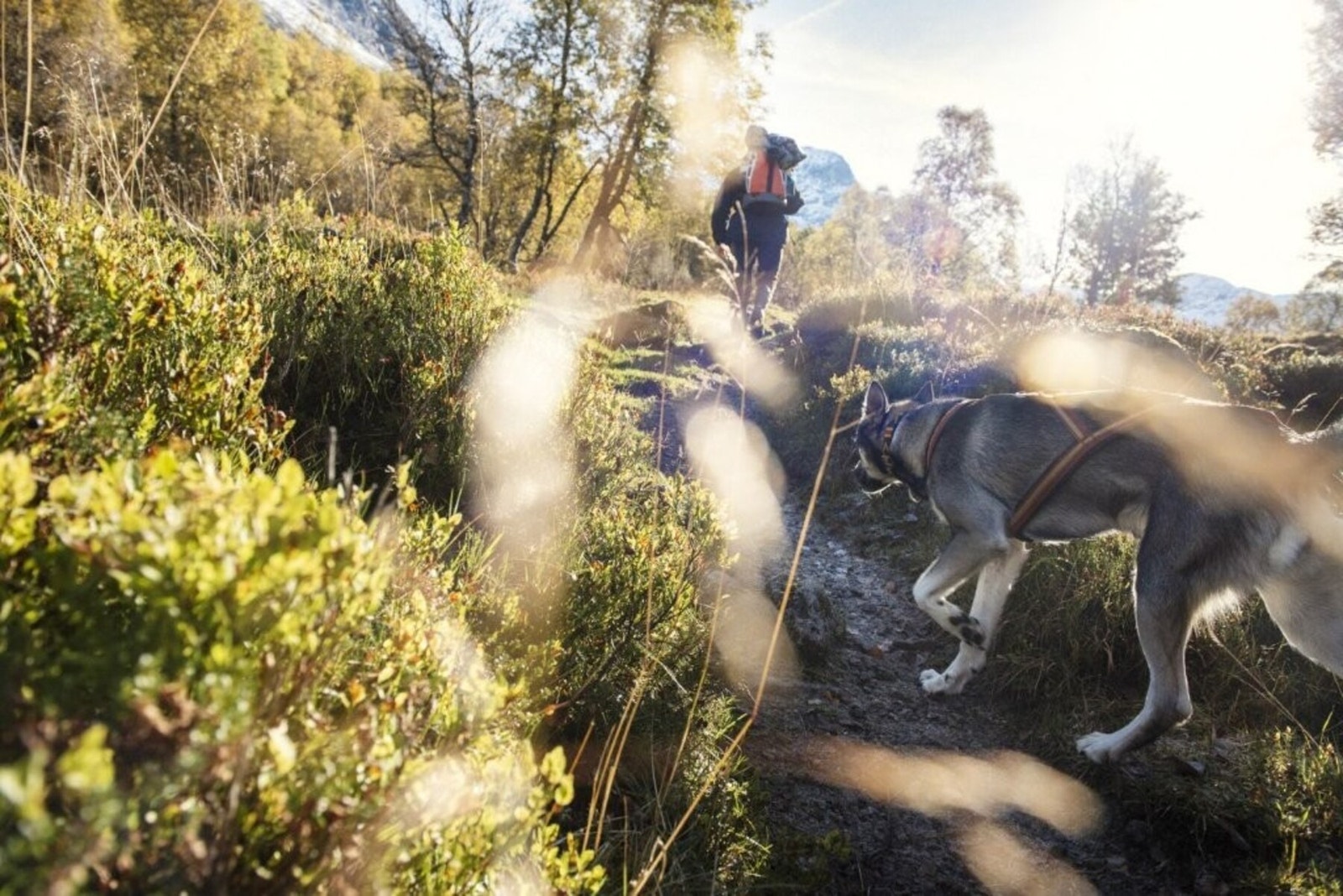 Flotte turmuligheter i området Galleribilde