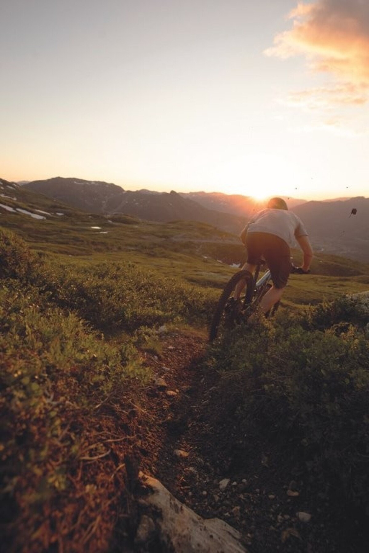Flotte turmuligheter i området Galleribilde
