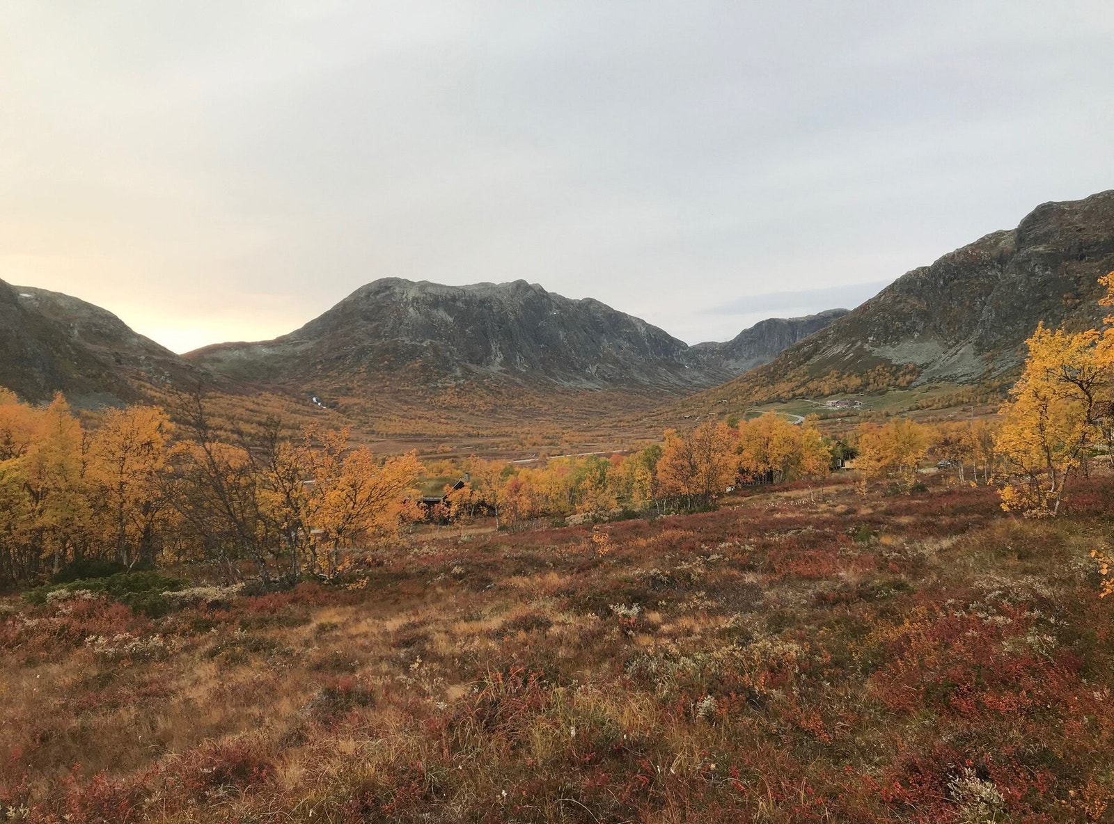 Foto fra tomteområdet - nydelig landskap Galleribilde