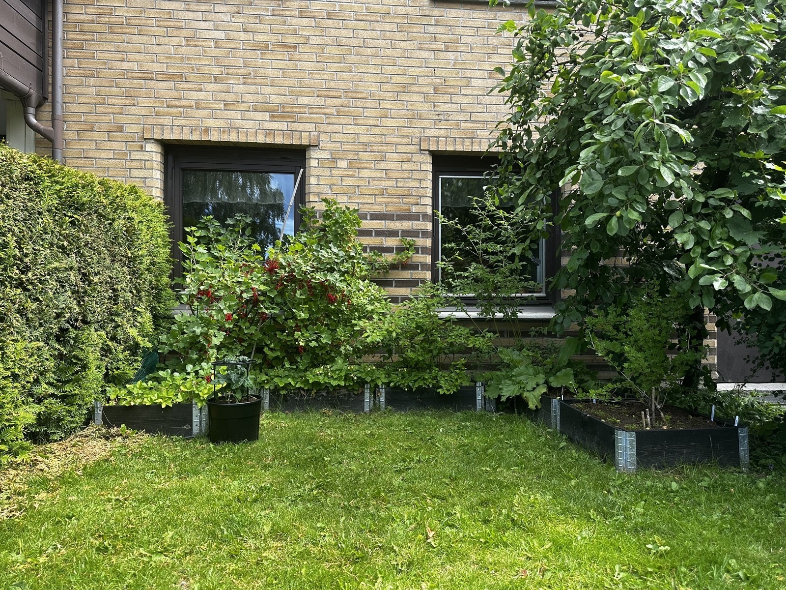 Utenfor kjøkkenvinduet har selger fått lov å etablere kjøkkenhage som kan videreføres om ønskelig. Galleribilde