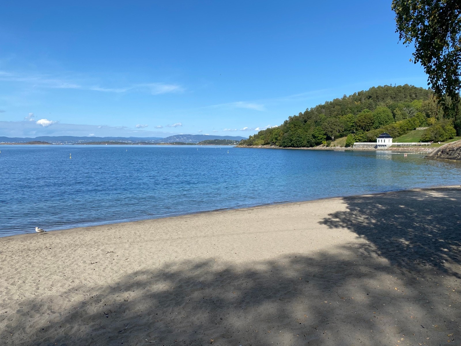Flott sandstrand på Hvervenbukta - Bilde er tatt av eier. Galleribilde
