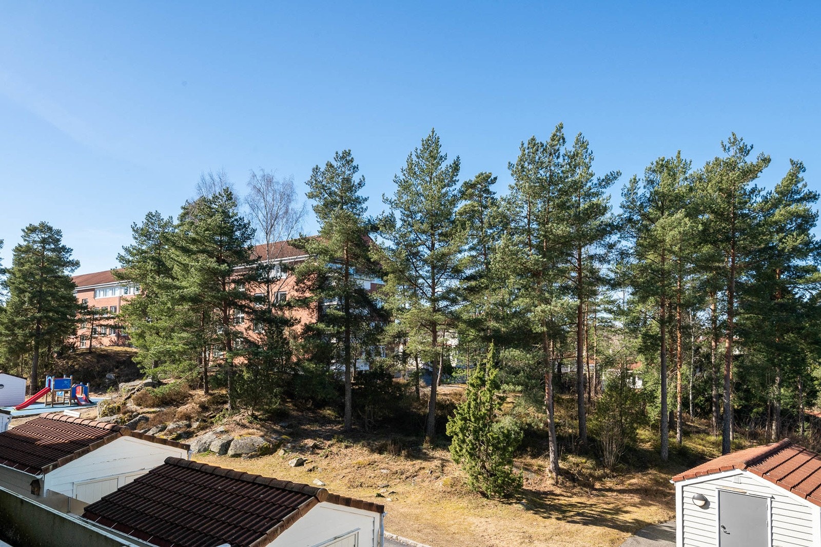 Fuglekvitter og utsikt fra balkongen. Galleribilde