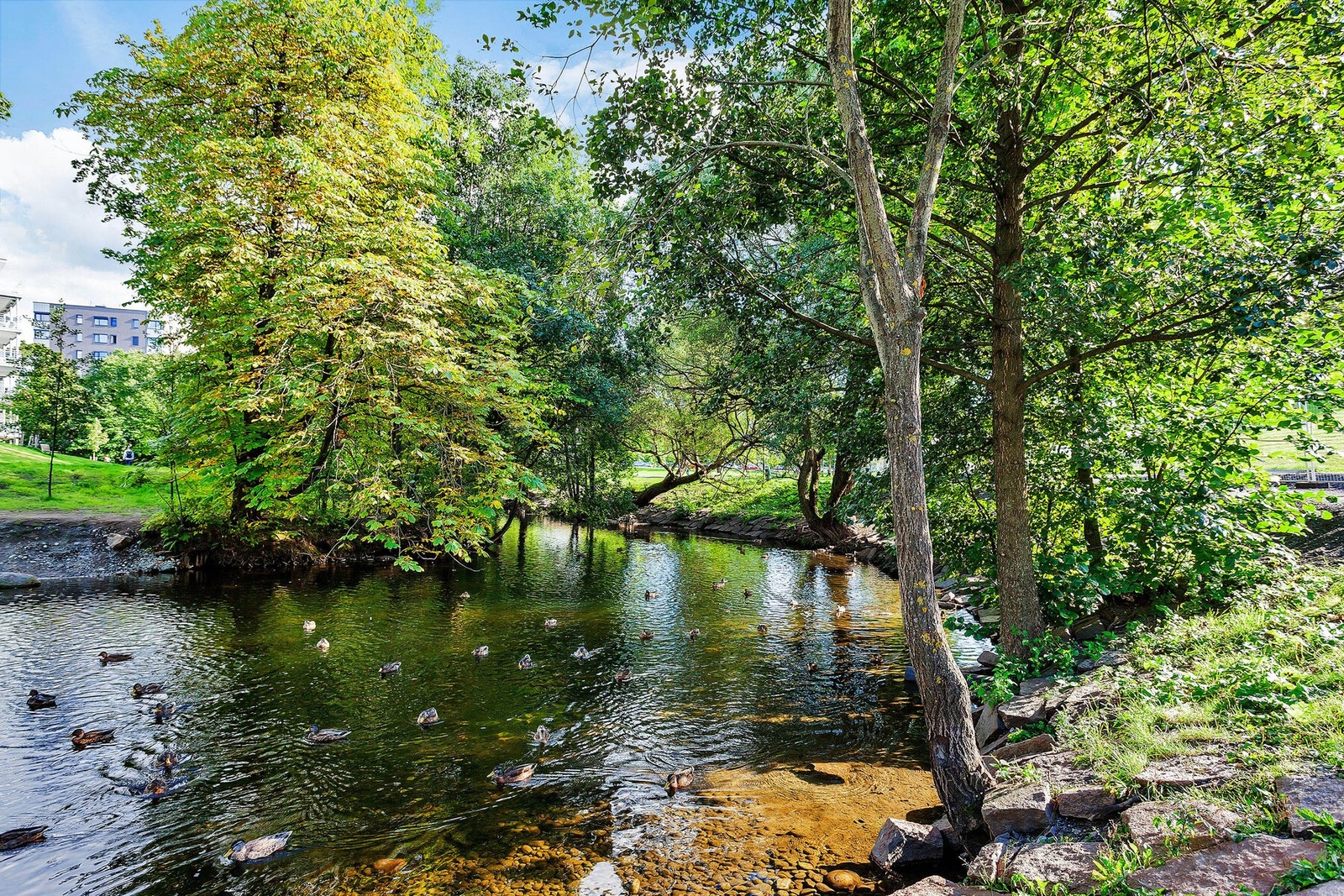 Det er nydelige turmuligheter langs Akerselva som tar deg opp til Maridalen eller ned til sentrum, alt etter hva som frister. Galleribilde