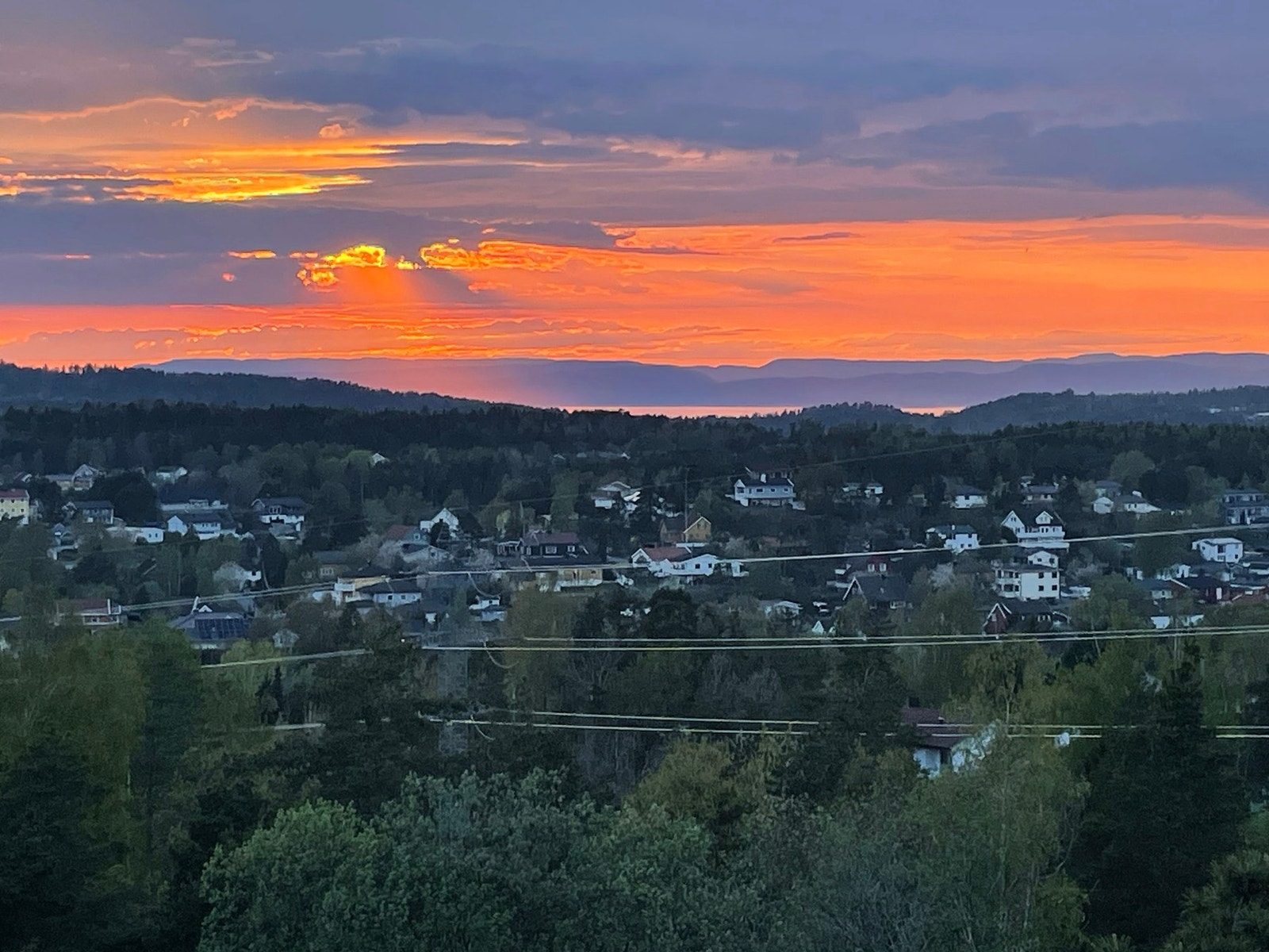 Selgers private bilde Galleribilde