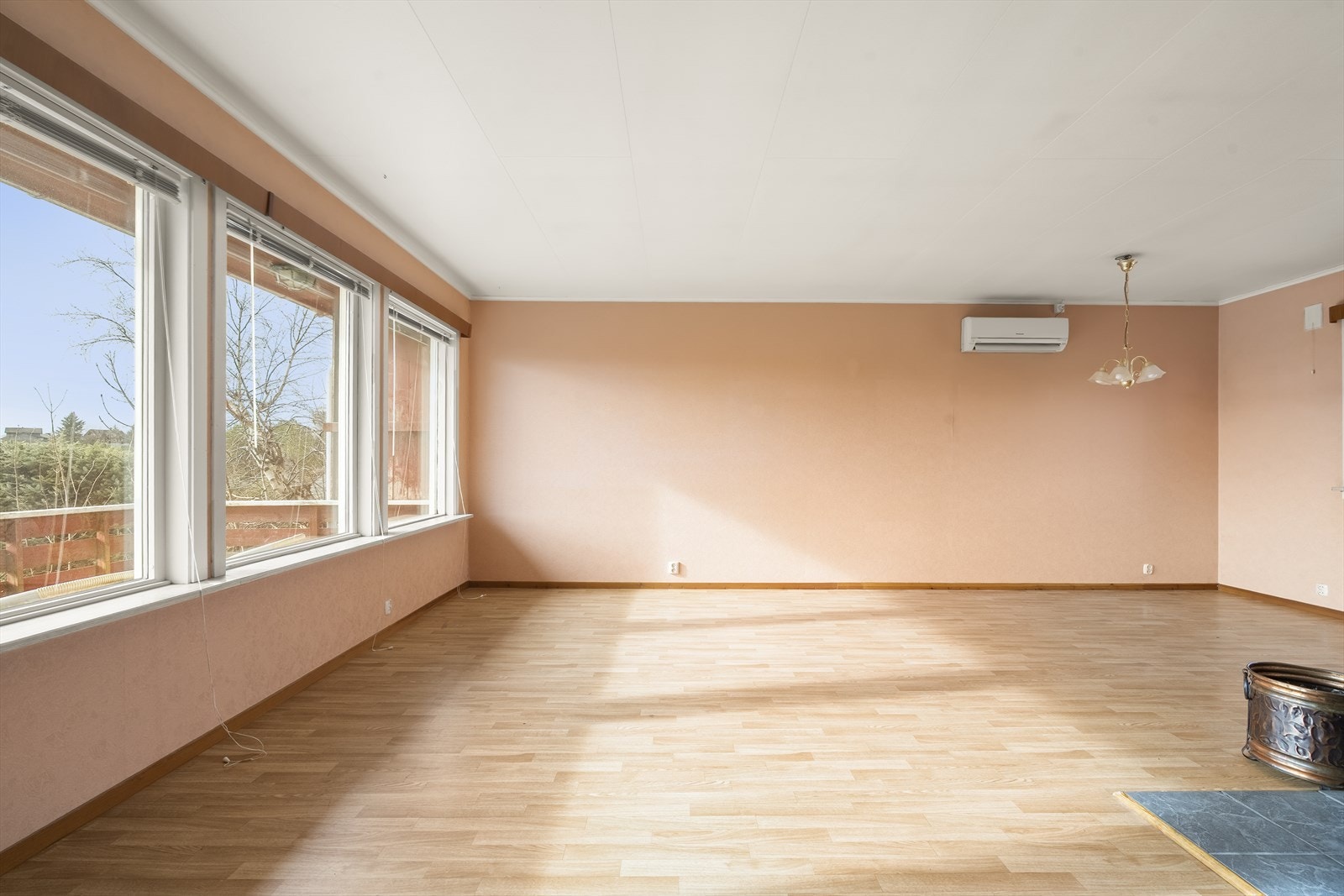 Det er varmepumpe og vedomn i stova Galleribilde