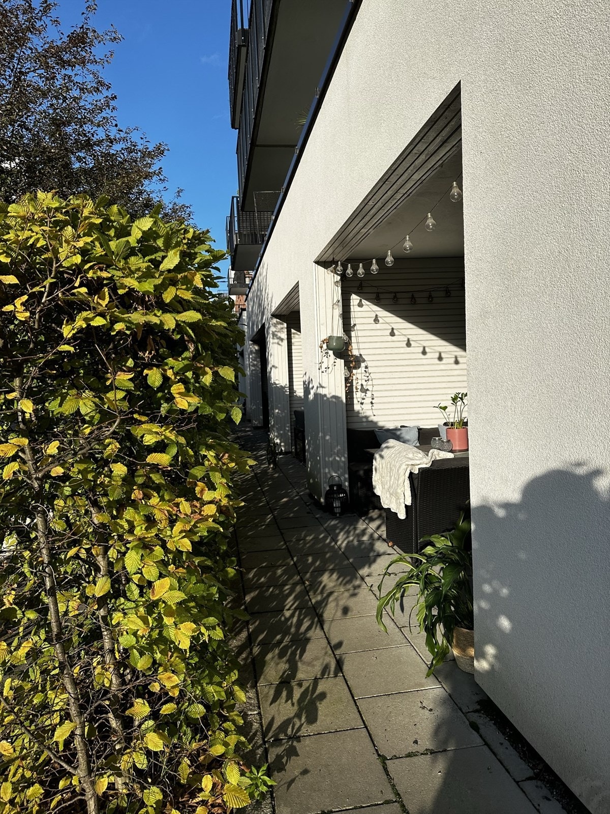 På sommerstid blir hekken grønn og frodig, og uteplassen blir enda mer skjermet. Galleribilde