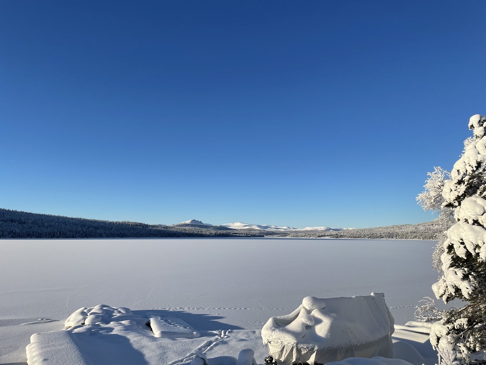 Områdebilde av Gålåvatnet. Galleribilde
