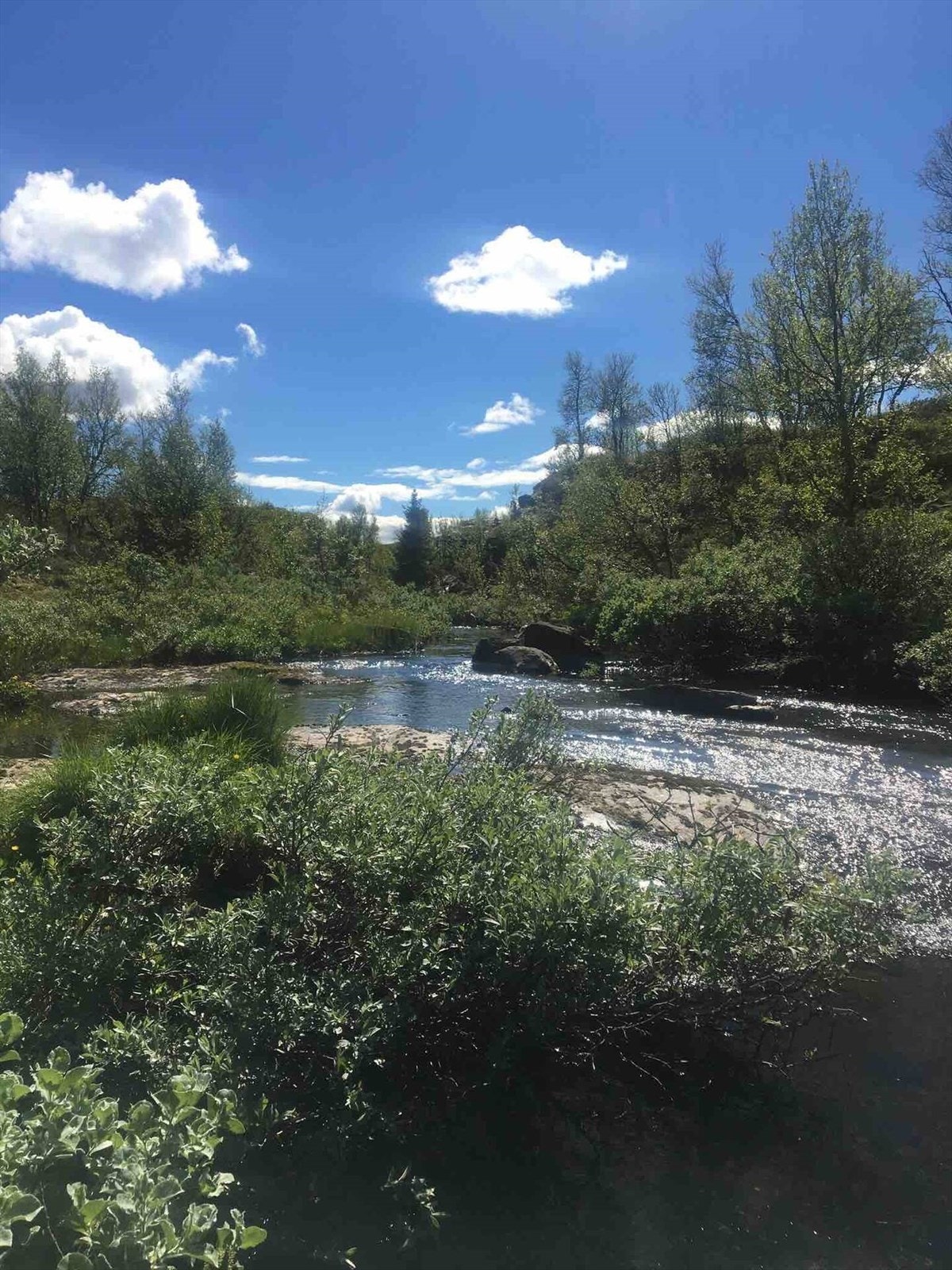 Områdebilde tatt av selger. Galleribilde