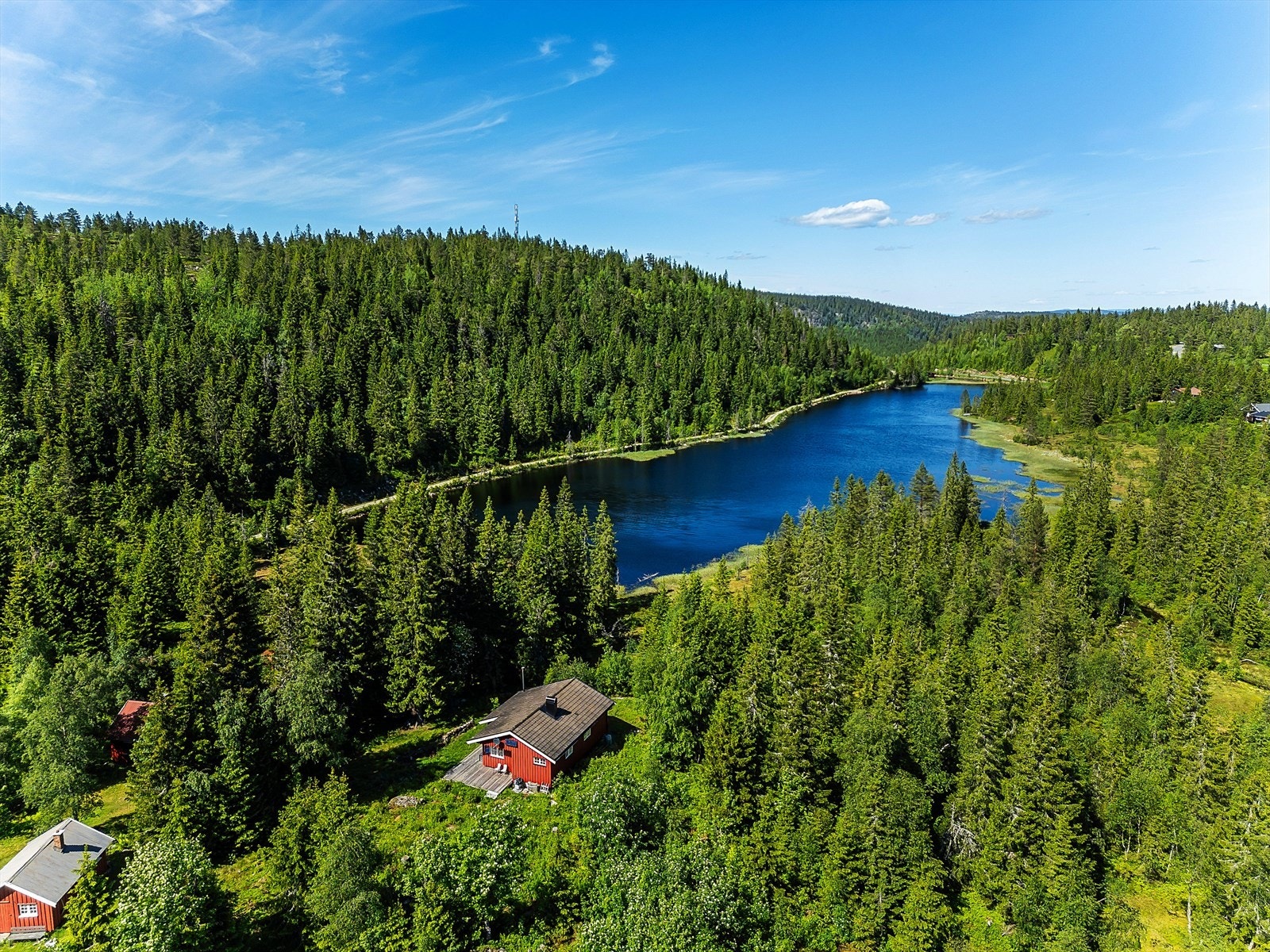 Hytta ligger idyllisk til med variert terreng. Galleribilde