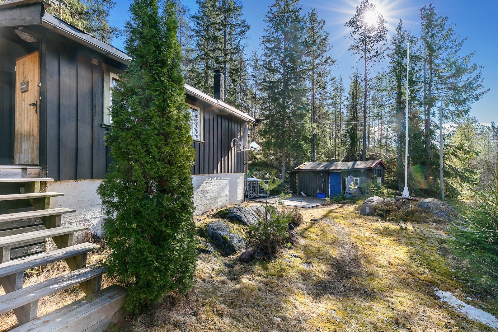 Tomten er solrik og er omgitt av furuskog. Galleribilde