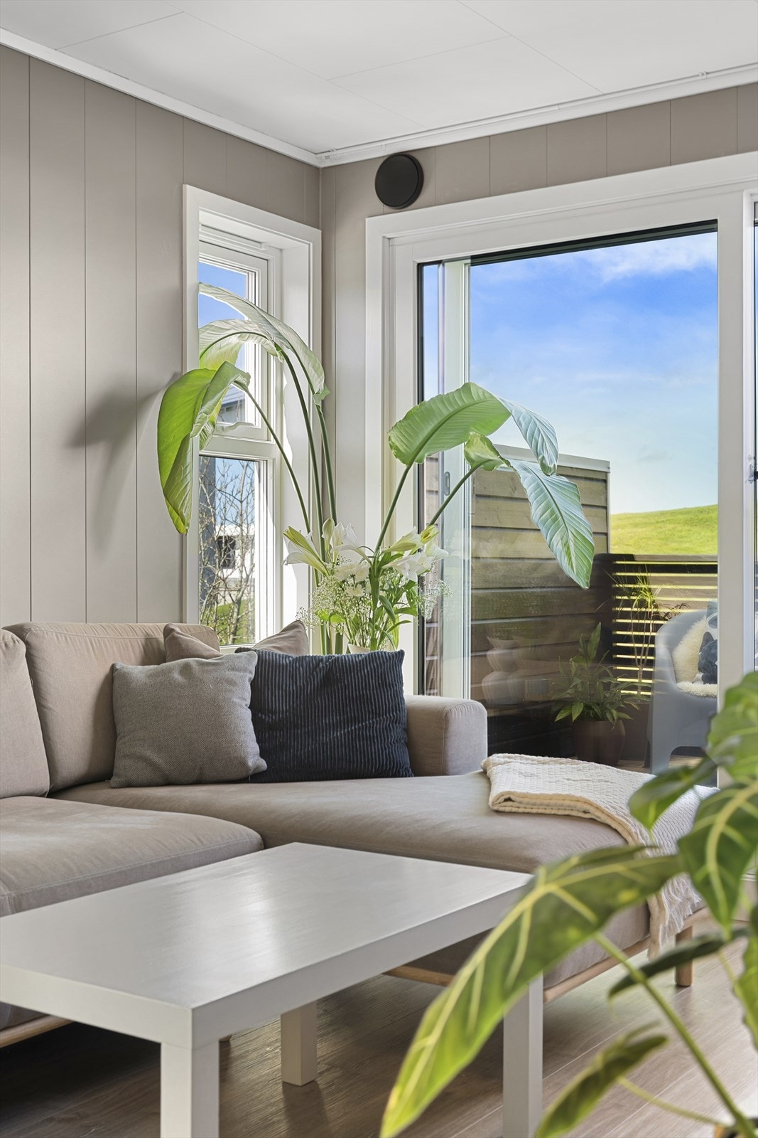 De store vindusflatene gir rikelig med naturlig lys, og skaper en lys og luftig følelse inn i rommet. Galleribilde