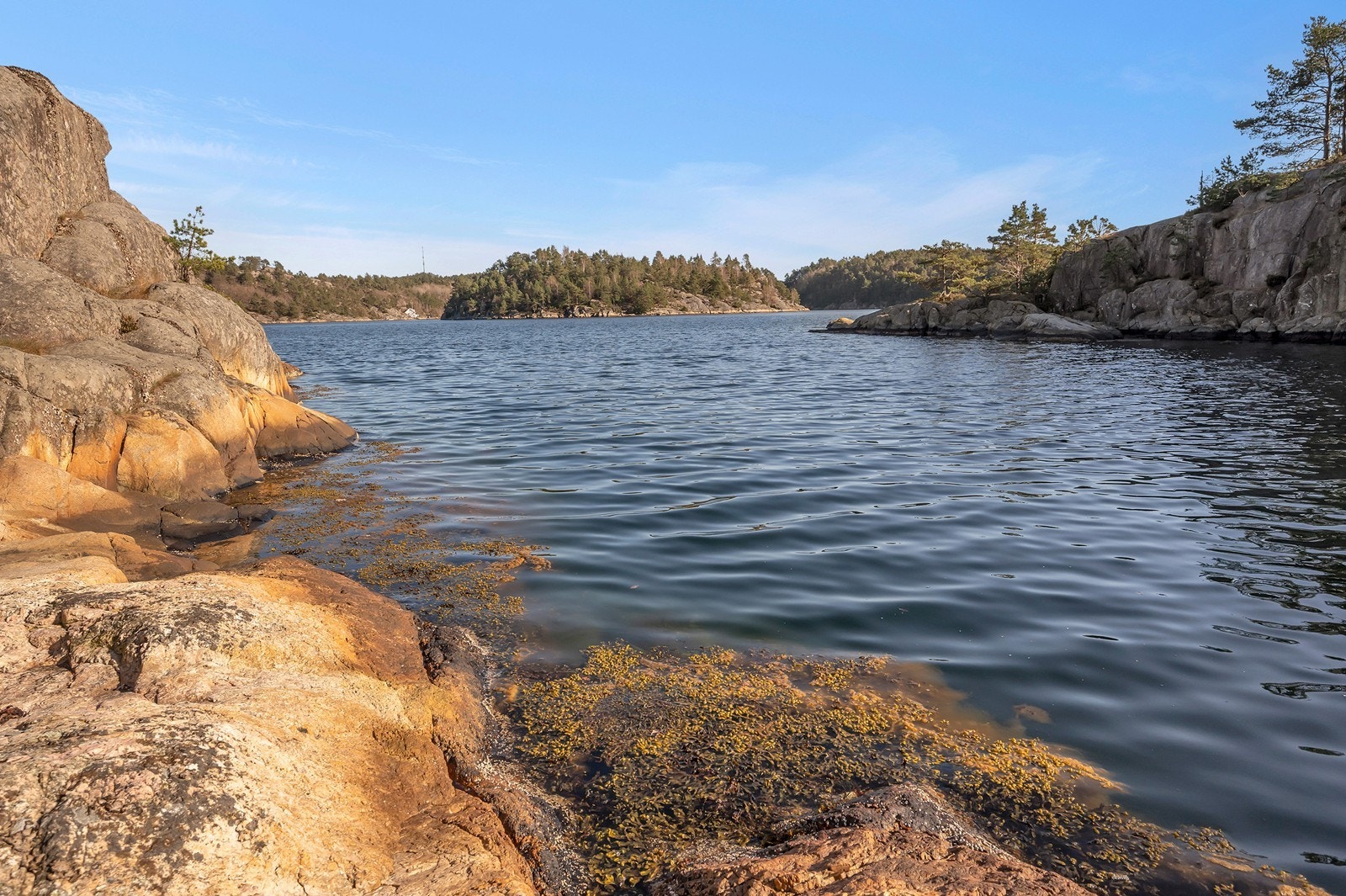 Sørlandsidyll på sitt beste Galleribilde