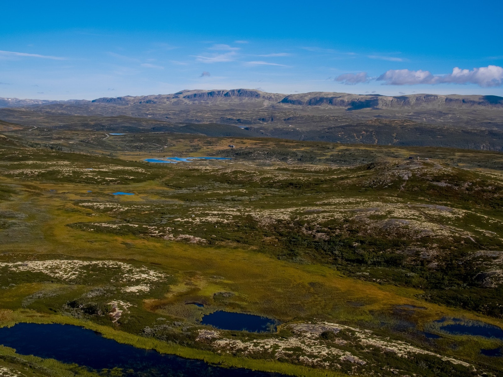 Sommer som vinter Galleribilde