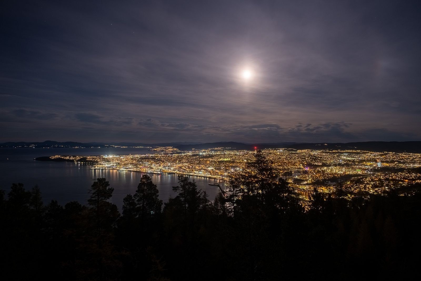 Våttakammen er et fint turmål ca. 2 km fra boligen med en fantastisk utsikt over byen, Trondheimsfjorden og Fosenalpene. Galleribilde