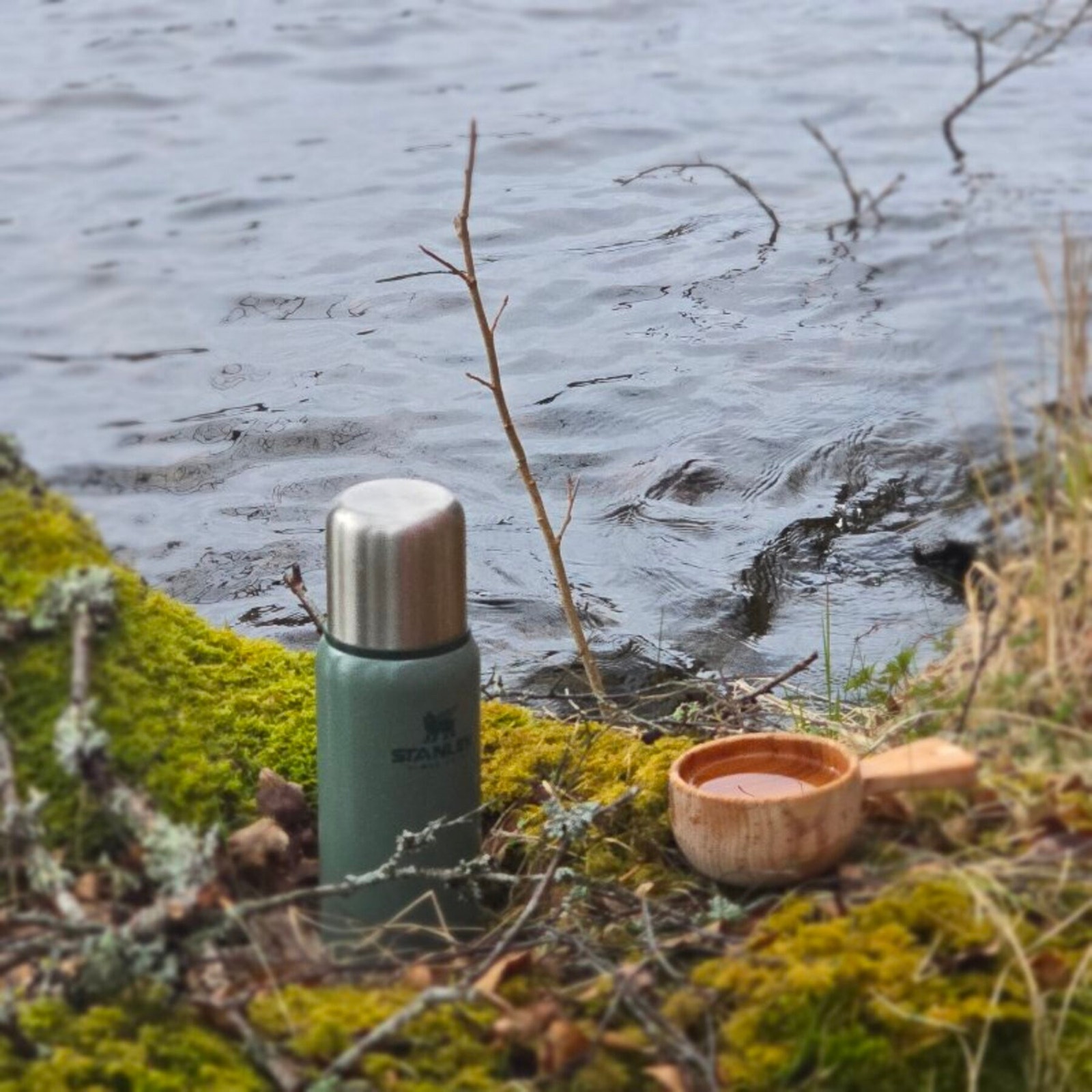 Selgers private bilde av vannkanten. Galleribilde