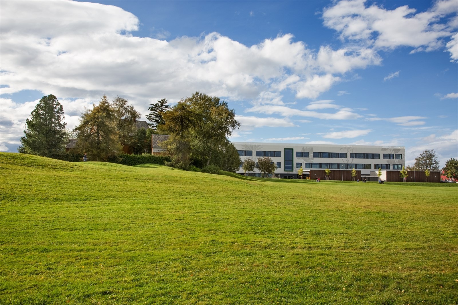 Nærområdet: Ca. 150-200 meter til Strinda VGS og Blusuvoll ungdomsskole. Galleribilde