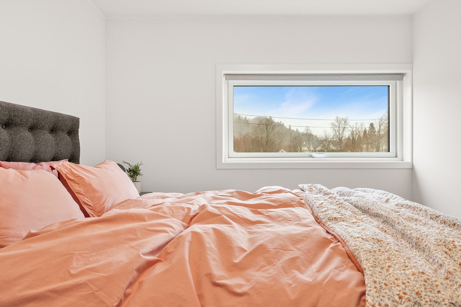 Hovedsoverom. Galleribilde