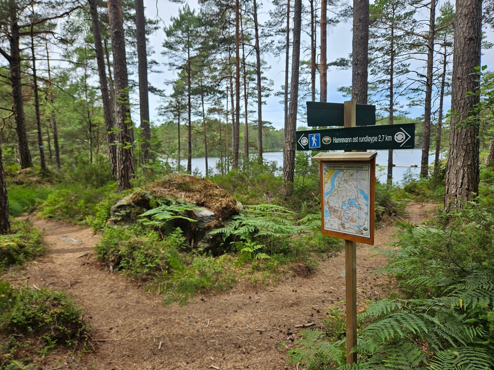 Fantastisk turterreng omkring Hamrevann starter 200 m fra døra. Fine stier, og så er det anlagt 5-6 grillplasser med griller, benker og noen gapahuker. Galleribilde