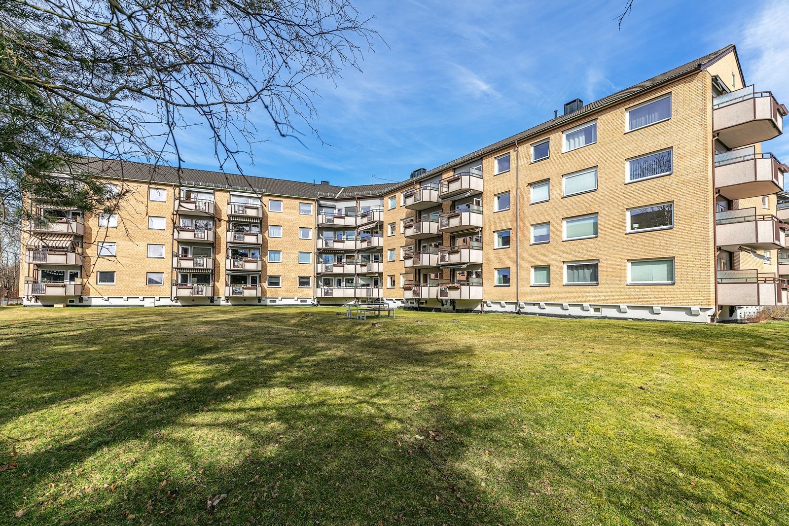 Fellesområder med plen og beplantning. Galleribilde