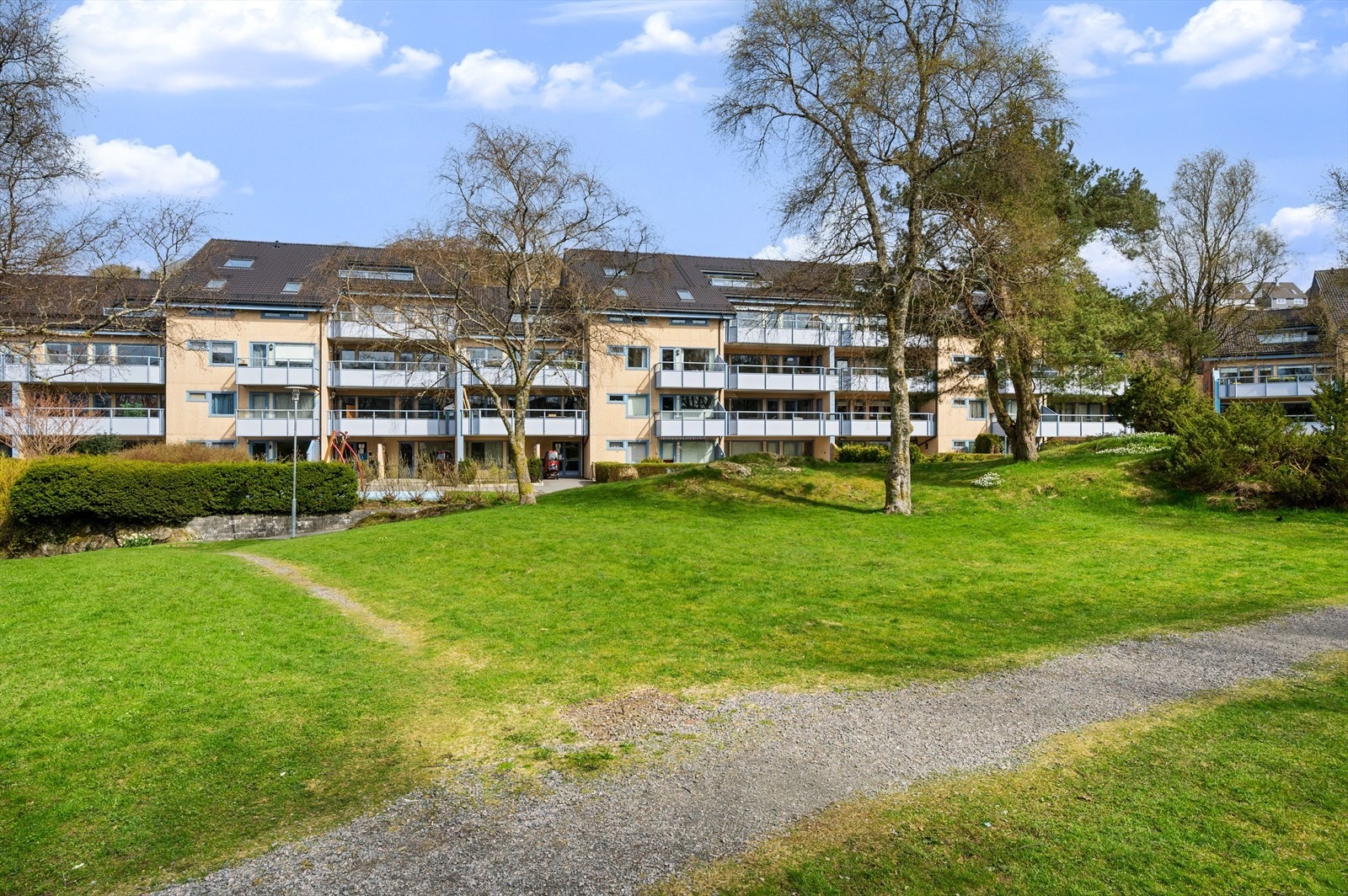 Fine turterreng i nærområdet med blant annet Lyderhorn, Alvøskogen og Storavatnet. Galleribilde
