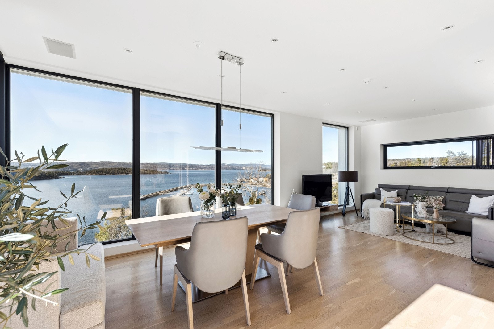 Følelsen av å sveve over fjorden. Galleribilde