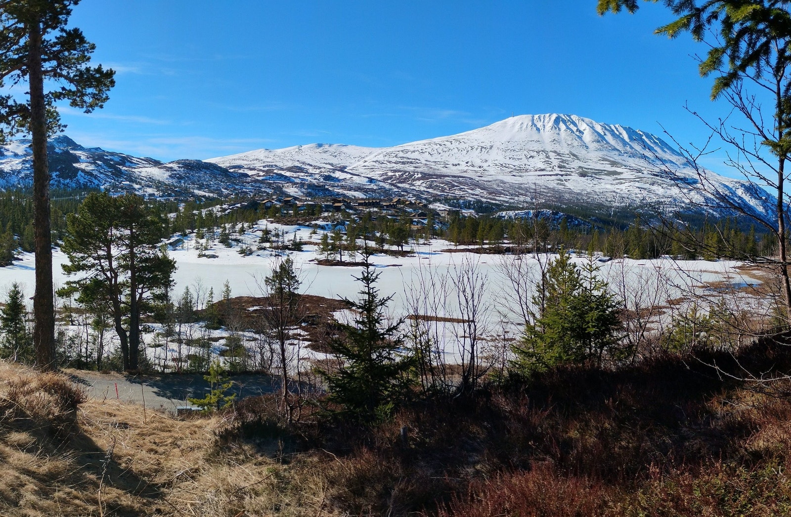 Utsikt fra tomta mot Gaustatoppen med Brennstaultjønna Galleribilde