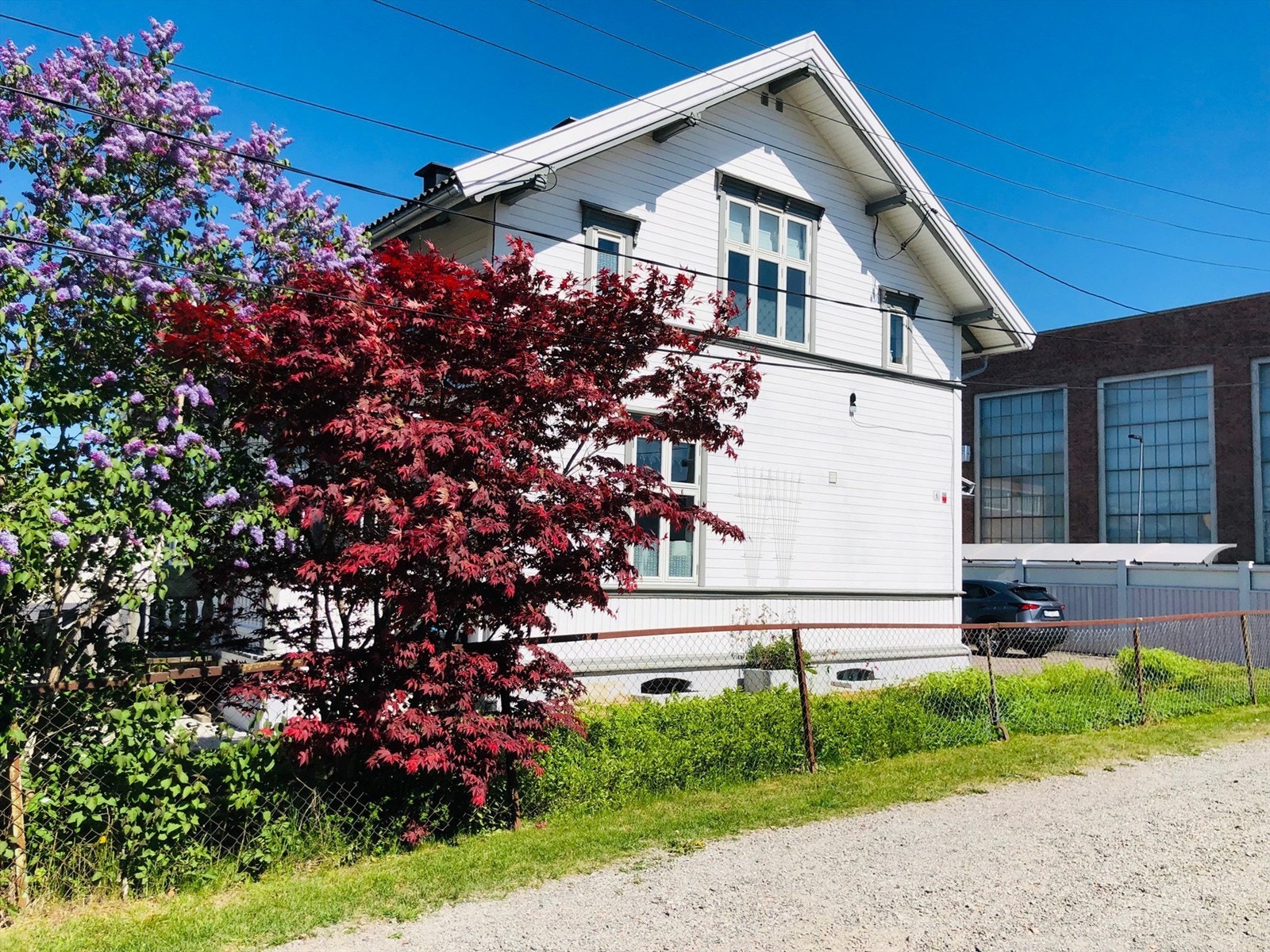 Selgers egne bilde Galleribilde