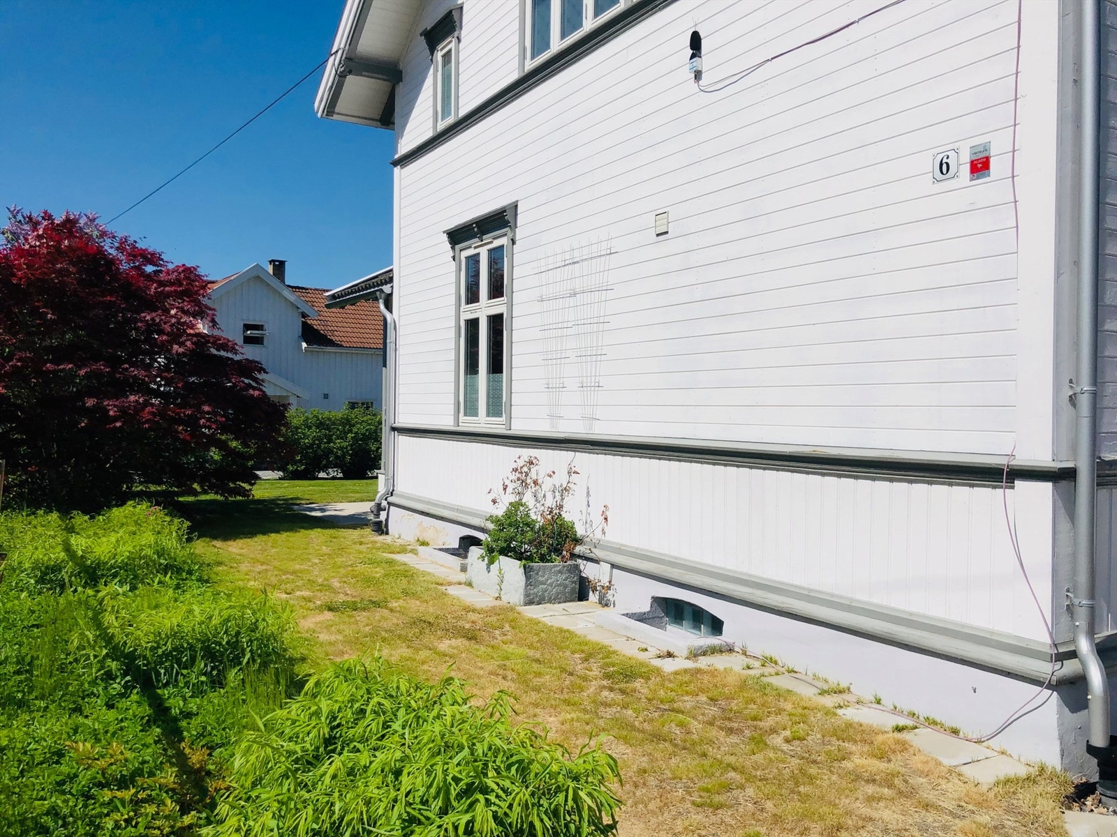 Selgers egne bilde Galleribilde