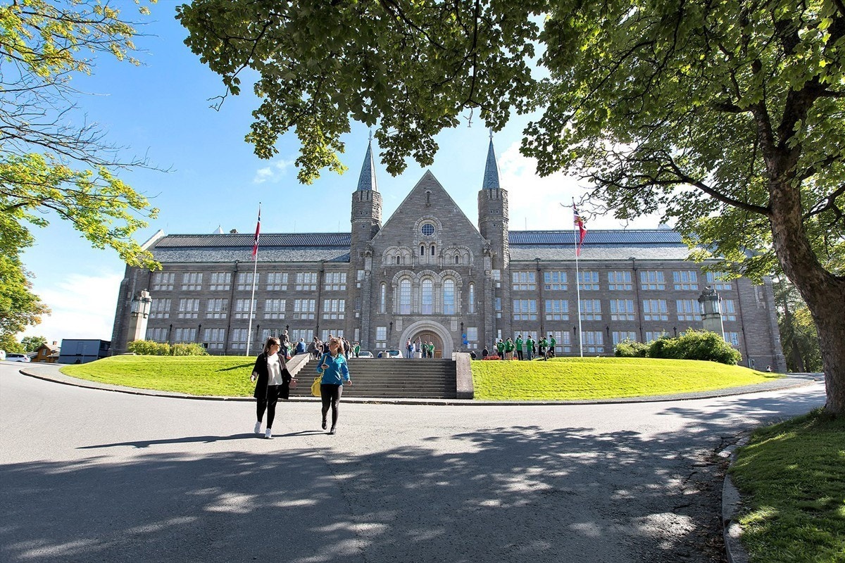 Leiligheten er i nærheten av flere studiesteder, som NTNU Gløshaugen. Galleribilde