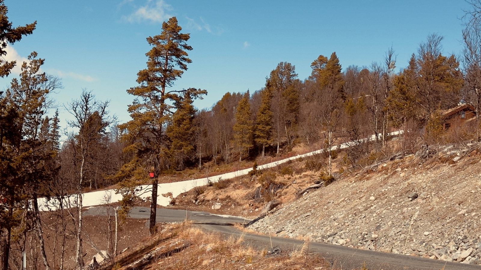 Alpinbakken rett ved tomta. Galleribilde