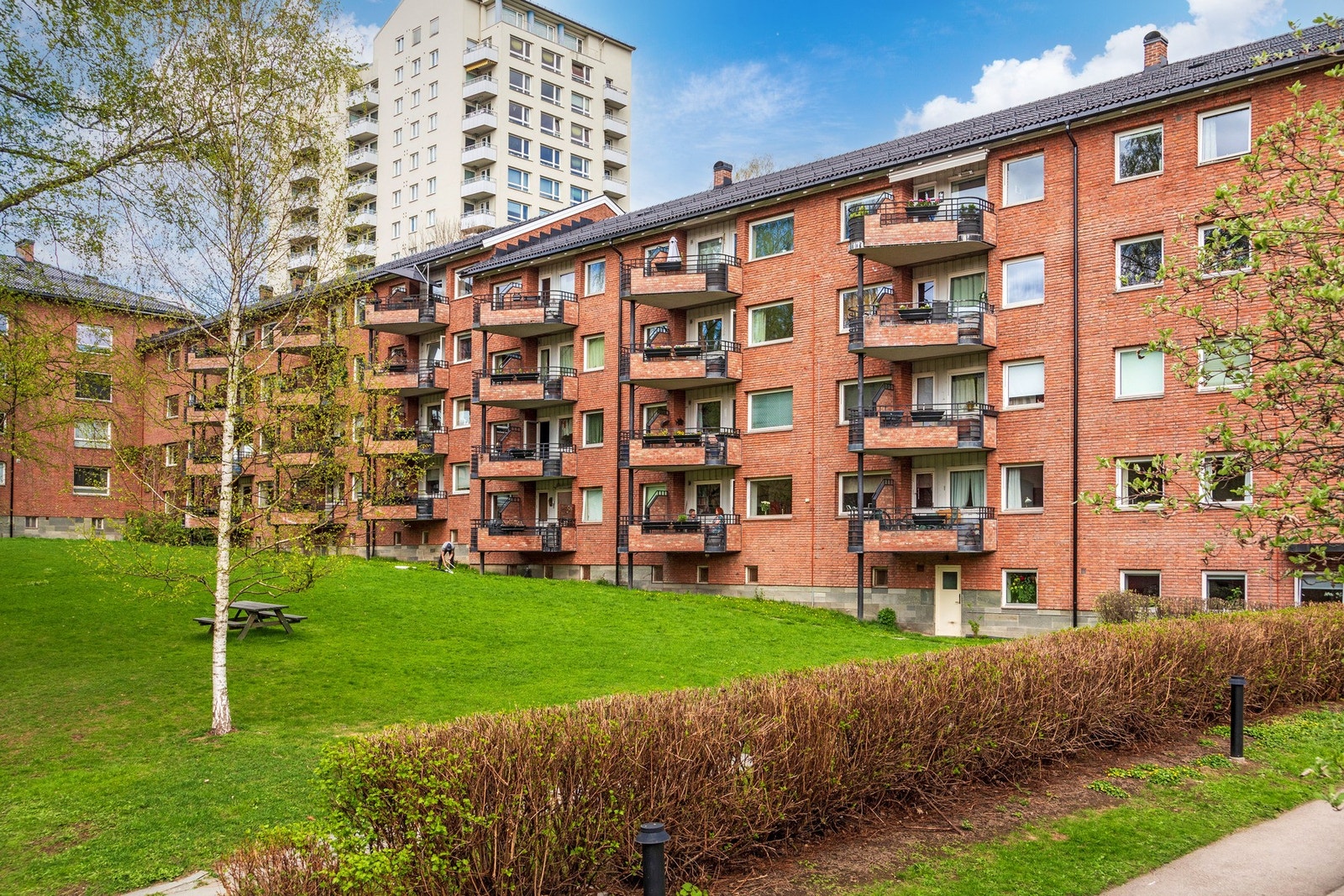 Fasade. Galleribilde