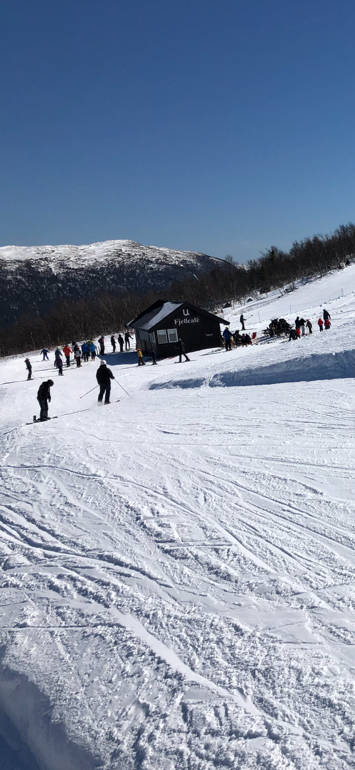 Privat bilde Galleribilde