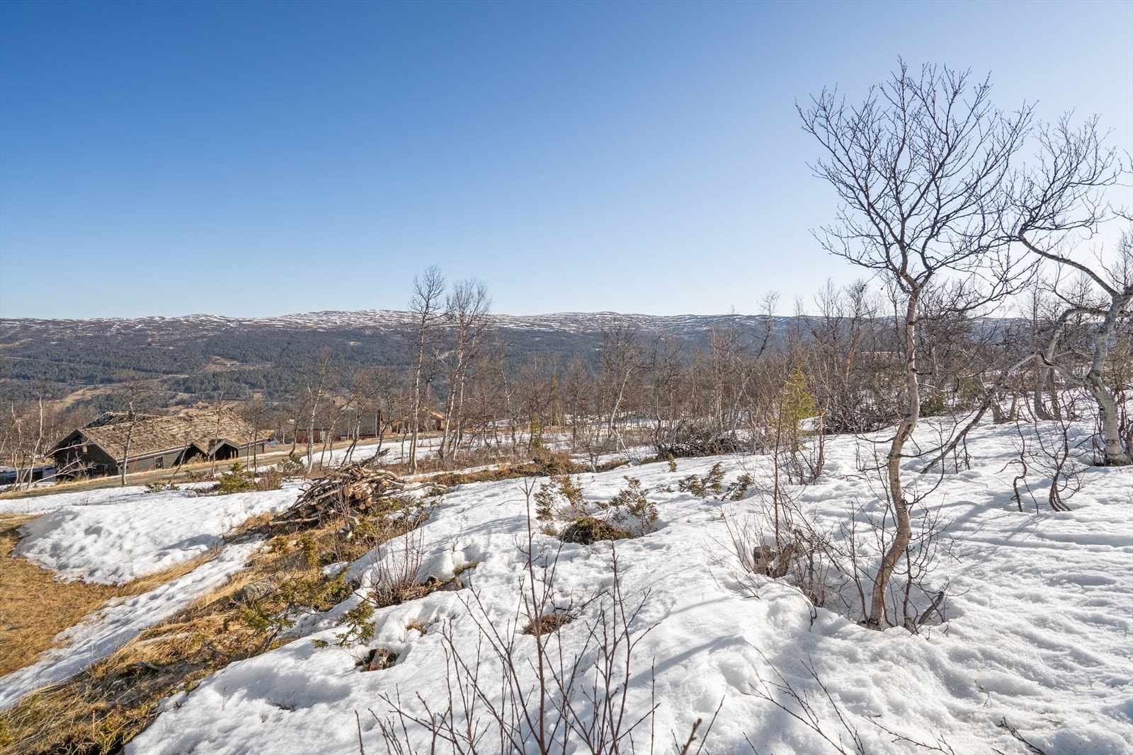 Flott utsikt fra tomten. Galleribilde
